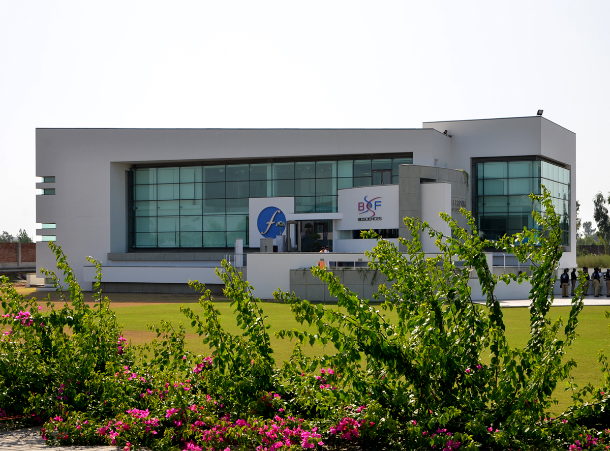 profile-of-the-company-2